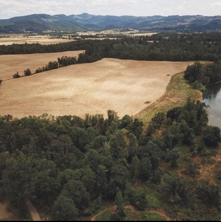 Riverfront Restoration Project – August 10, 2019