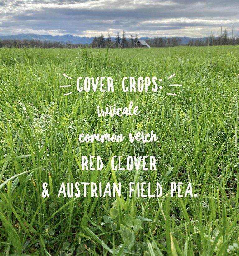Cover Crops – February 3, 2020