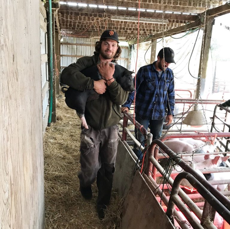 Pigs Arrive on the Farm! – June 14, 2018
